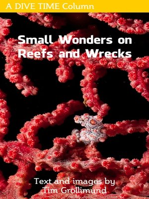 cover image of Small Wonders on Reefs and Wrecks